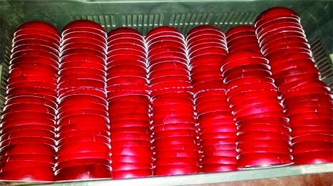 Cricket Balls Manufacturing